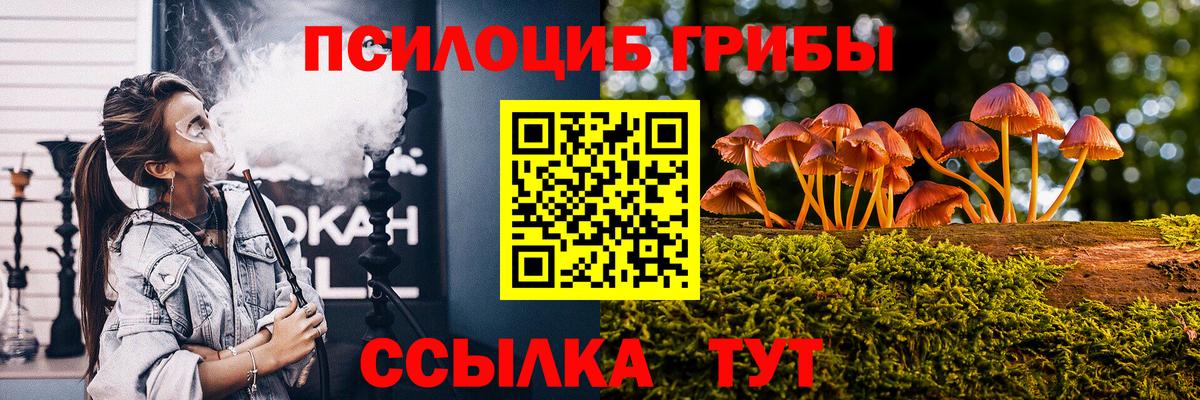 Электросталь  Галлюциногенные грибы Cubensis  Вход с VPN 