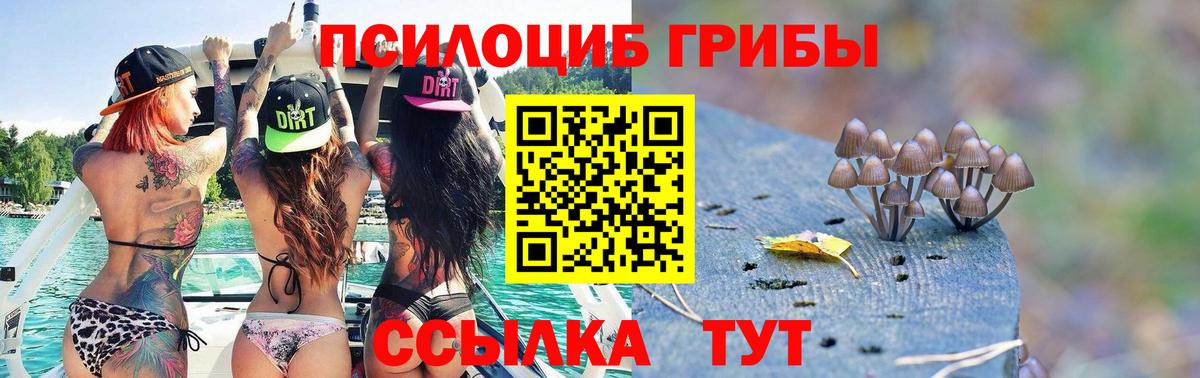 Галлюциногенные грибы MAGIC MUSHROOMS Электросталь